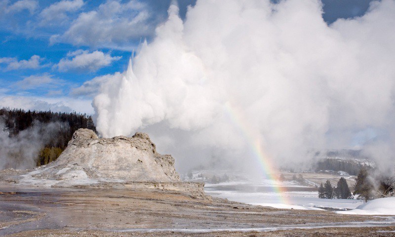 yellowstone vacation packages