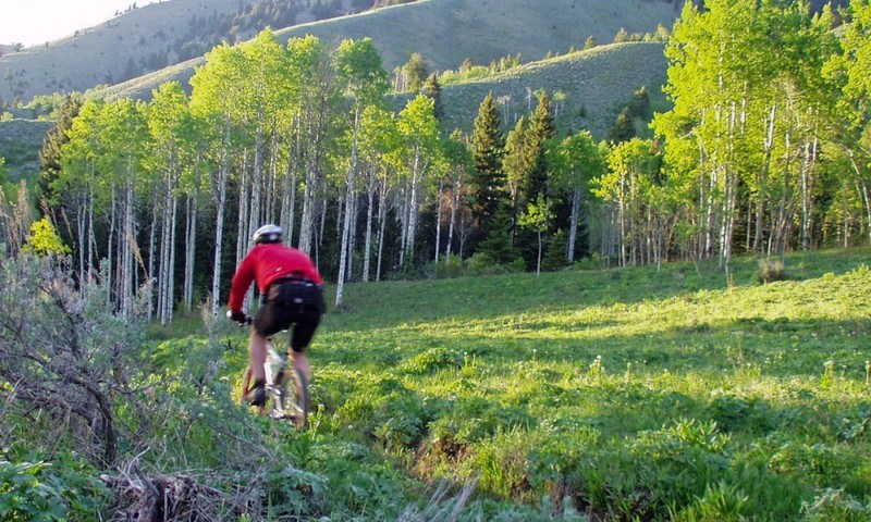 Jackson Hole Summer Adventurer Package