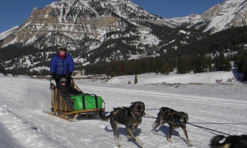 Full Day Dogsled Tour