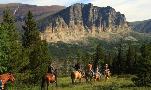 Half Day Horseback Trail Ride in the Flathead National Forest in Montana