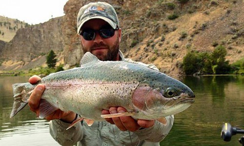 Guided Fly Fishing (Full Day)